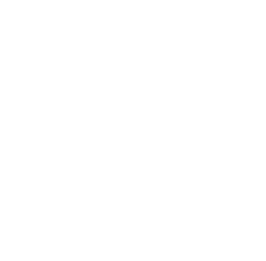 Robotmk